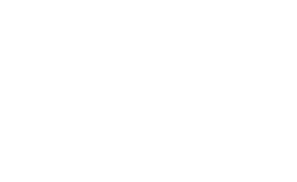 Orbit Accounting Group